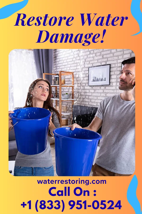 water restoration Quality Disaster Cleanup LLC Merton