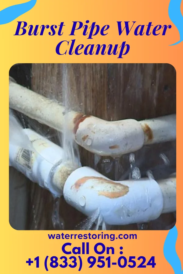 Burst Pipe Water Cleanup in Merton, WI