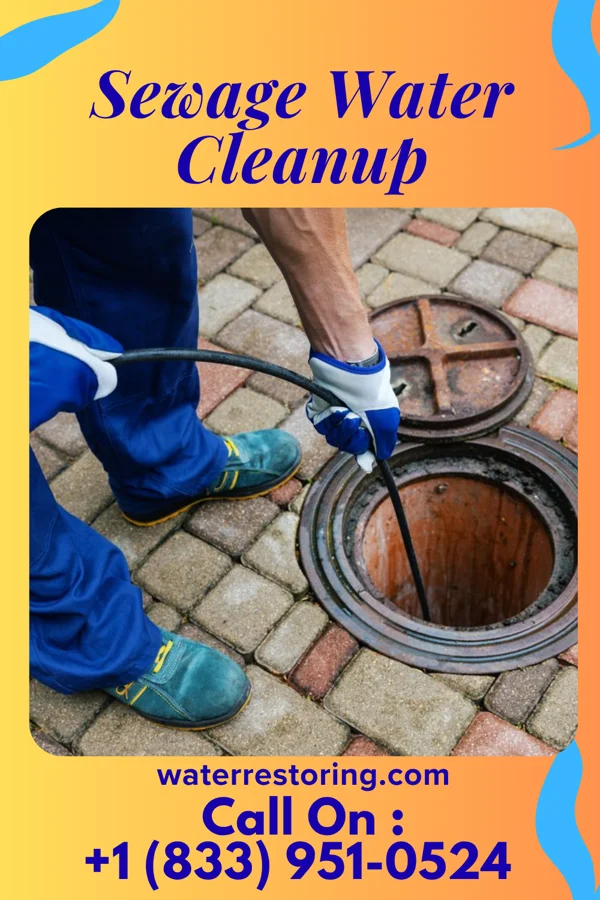 Sewage Water Cleanup in Merton, WI