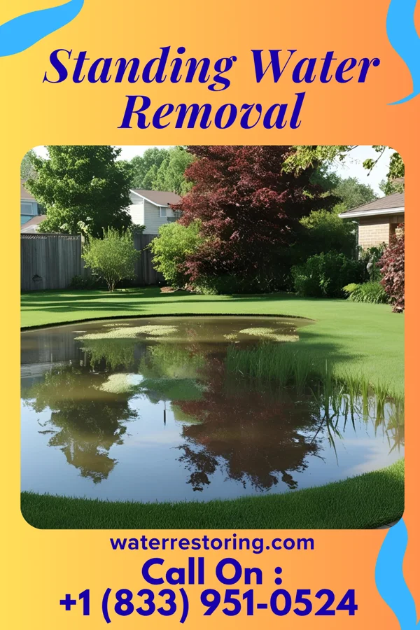 Standing Water Removal in Merton, WI